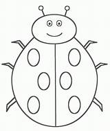 Ladybug Coloringhome ã Từ Lưu sketch template