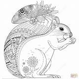 Zentangle Squirrel Eekhoorn Ausmalbilder Ardilla Eichhörnchen Supercoloring Kostenlose Colouring Printen Dieren Malvorlagen Tiere Tegninger Egern Wiewiórka Malvorlage Ausmalen Wzorze Nchen sketch template