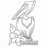 Pelican Coloring Pages Louisiana Brown Getcolorings Color State sketch template