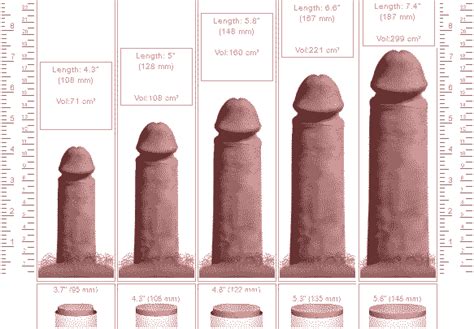 average pussy hole size adult videos