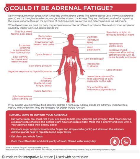 Symptoms Of Adrenal Fatigue And What To Do – Artofit