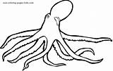 Coloring Pages Color Octopus Animal Squid Kids Printable Sheets Found sketch template
