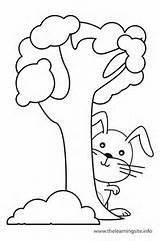 Behind Preposition Coloring Tree Clipart Outline Rabbit Colouring Pages Prepositions Clip Activity Flashcard Click 1440 Subtitles Movie Flashcards Over Sketch sketch template