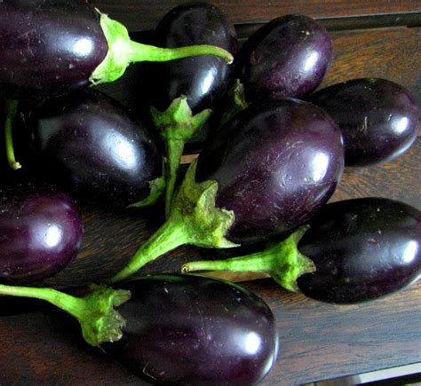 eggplant healthy veg recipes