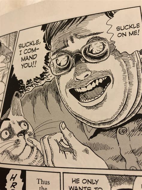 Out Of Context Junji Ito Cat Diary Junjiito