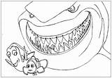 Nemo Coloring Finding Shark Pages Bruce Printables Printable Cool Template Sheet Choose Board Kids Ecoloring Books sketch template