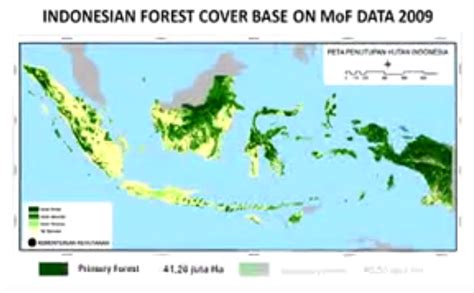 peta deforestasi hutan indonesia attayaya blog