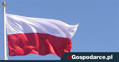 polska powinna byc mocarstwem wgospodarcepl