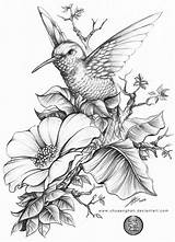 Hummingbird Kolibri Lilies Bloemen Hummingbirds Bloem Colibri Butterflies Pirografie Vogel Hb Lápis Animali Beija Designs Tekeningen Tekenen Lou Tatuaggio Cani sketch template