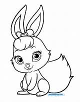 Whisker Bunny Palace Whiskers Disneyclips Bichos Designlooter Dreamy Desenhos Template sketch template