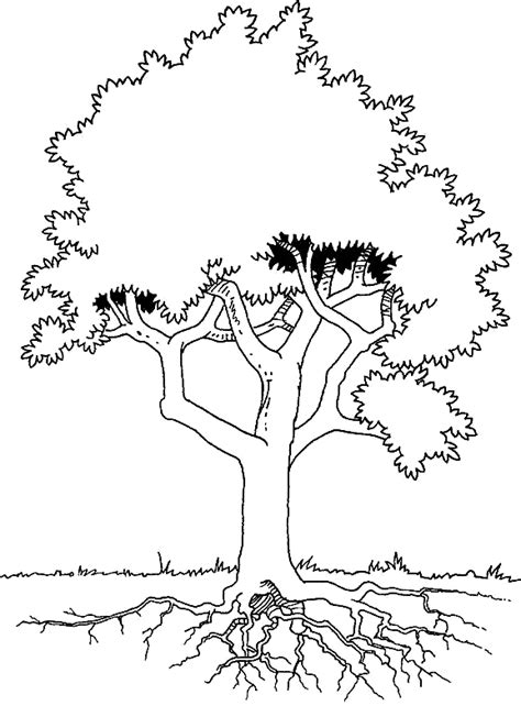 tree  roots coloring page coloring pages
