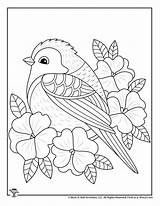Coloring Pages Spring Adult Teen Flowers Bird Kids Woojr Teens Print sketch template
