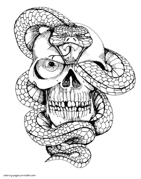 detailed skull coloring pages  adults