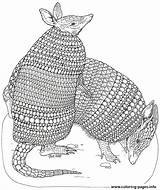 Coloring Noahs Brett Mural Armadillos Ark Jan Pages Printable sketch template