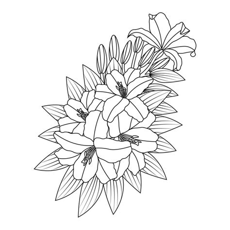 isolated leaves  flower doodle coloring page decorative element