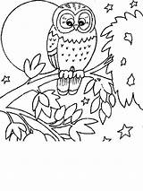 Owl Colornimbus sketch template