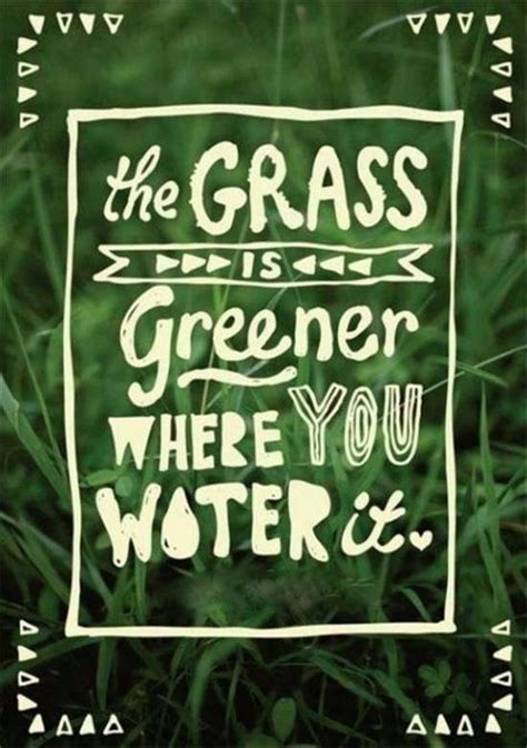 You Ve Heard The Saying The Grass Is Always Greener On The Other Side