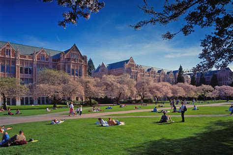 university  washington uw