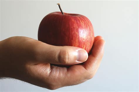 close  photo  person holding red apple  stock photo