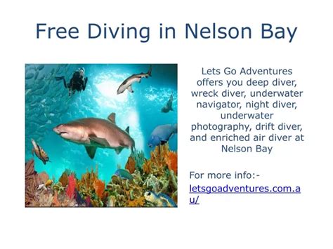 diving  nelson bay powerpoint