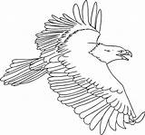 Coloring Eagle Pages Flying Bald Eagles Harpy Adler Ausmalbilder Printable Malvorlage Philadelphia Drawing Feather Osprey Malvorlagen Kids Gratis Getcolorings Bild sketch template