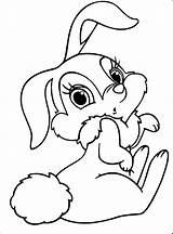 Bunny Coloring Pages Miss Thumper Rabbit Colouring Choose Board Kids Printable sketch template