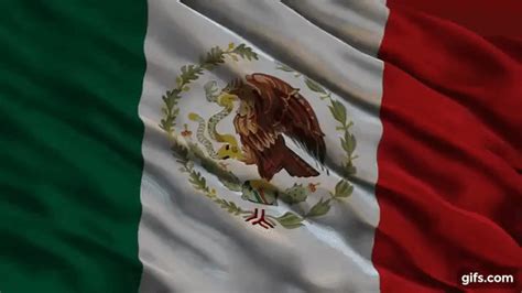 bandera de mexico ondeando  animated gif