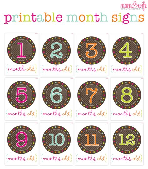 baby projects  printable month signs  photo shoots