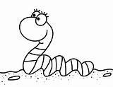 Worm Worms Earthworm Larva Wiggle Museprintables sketch template