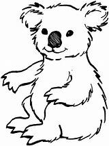 Koala Coloring Bear Pages Animals Color Bears Kids Colouring Loving Printable Line Drawing Print Clipart Outline Colorings Craft Luna Drawings sketch template