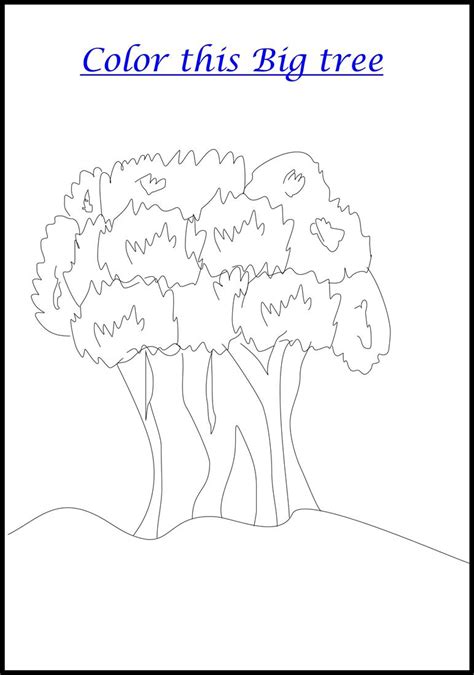 big tree coloring printable page  kids