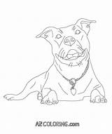 Coloring Pitbull Pages Dog Pitbulls Bull Coloringhome Red Color Printable Dogs Pit Getcolorings Only Comments Books Wicked sketch template