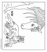 Paarden Kleurplaten Springen Kleurplaat Lente Paard Moeilijk Uitprinten Flevoland Flevokids Honden Colouring Jaargetijden Eenhoorn sketch template