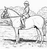 Cheval Horse Cavalier Son 2211 Coloriages Colorier Stable sketch template
