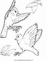 Uccelli Colorare Disegni Malvorlagen Ausdrucken Ovipari Vogelhochzeit Malvorlage Dibujos Ninjago Verschiedene Boyama sketch template
