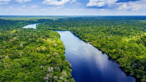 amazon river  brazil windows spotlight images