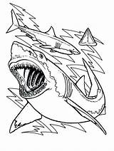 Shark Coloring Pages Sharks Great Printable Color Drawing Teeth Bull Megalodon Sheet Bulls Chicago Print Kids Cute Anatomy Clark Outline sketch template