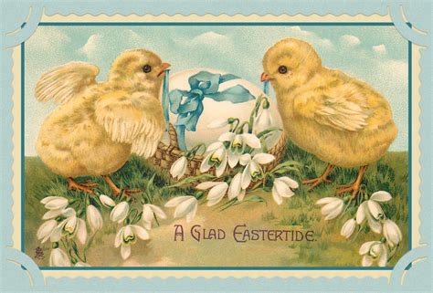 vintage easter chicks card  stock photo public domain pictures