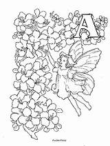 Fairy Coloriage Coloring Pages Barker Cicely Mary sketch template