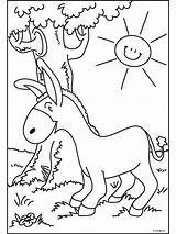 Kleurplaten Ezel Kleurplaat Asino Binatang Hewan Mewarnai Ausmalbilder Coloriages Animierte Bergerak Coloringpages1001 Animaatjes Donkey Coloratutto sketch template