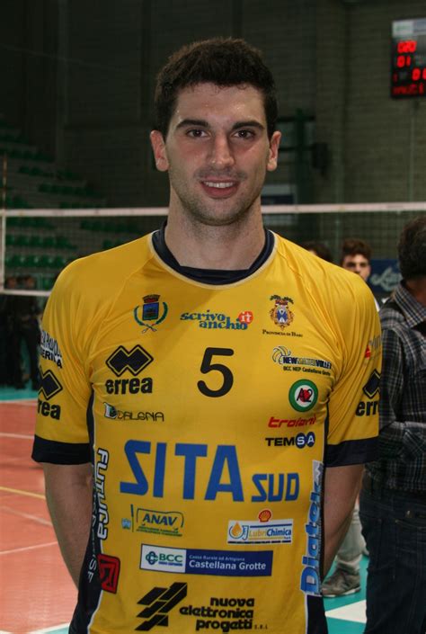 marco falaschi net worth     volleyball player worth