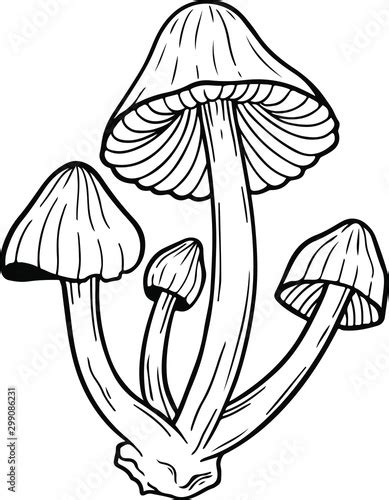 poison mushroom vector hand drawn illustration tattoo sketch style isolated  white buy