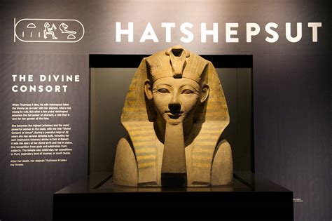 meet the pharaohs rbcm egyptian exhibit now open vancouver island