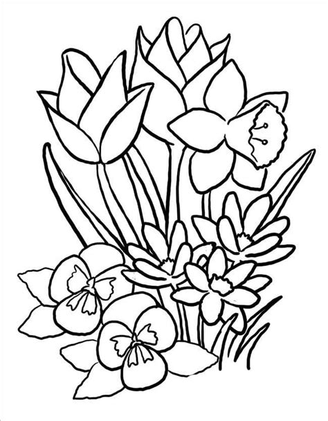 spring coloring pages  printable coloring pages  kids