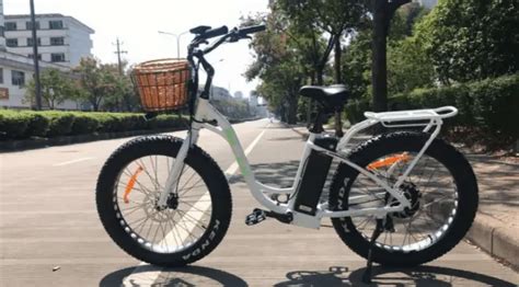 check     big cat electric bikes bike lovy