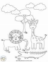 Animals Wild Printables Kindergarten Preschool Coloring Animal Activities Zoo Color Pages Theme Them Wildlife Fun Great Do Themed Children sketch template