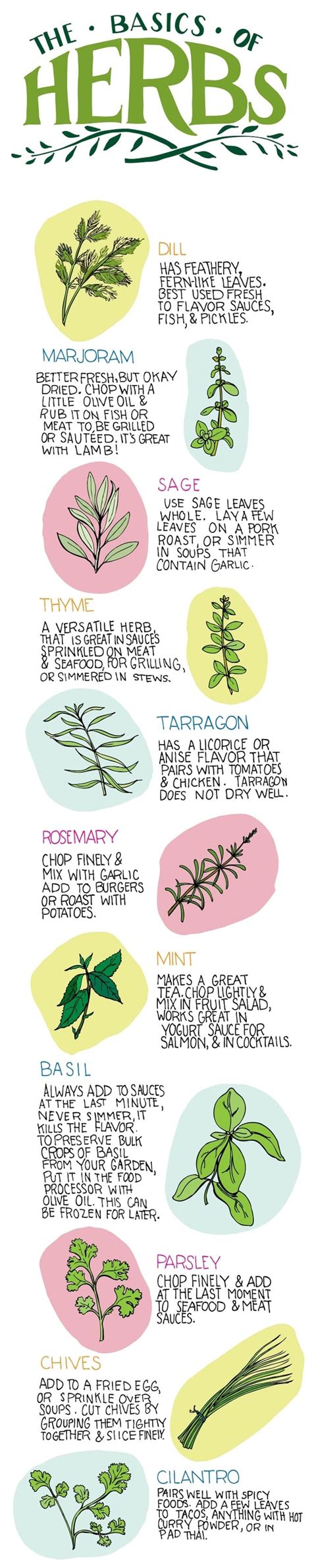 The Basics Of Herbs Cooking Cheat Sheet Mindbodygreen