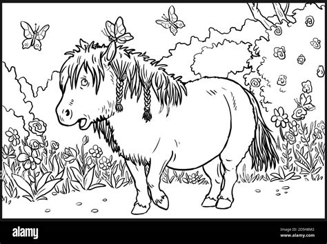 funny pony  coloring colouring page  horse lovers stock photo