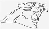 Panthers Carolina Outline Panther Drawing Logo Coloring Pages Getdrawings Paintingvalley Seekpng sketch template