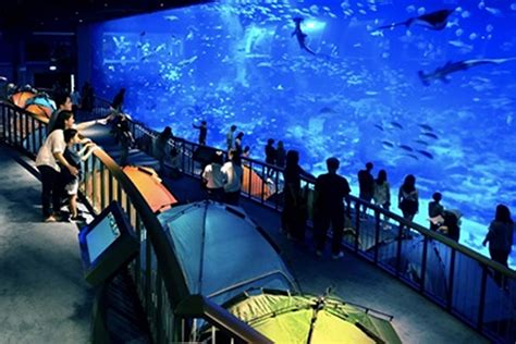book  sea aquarium singapore ofw